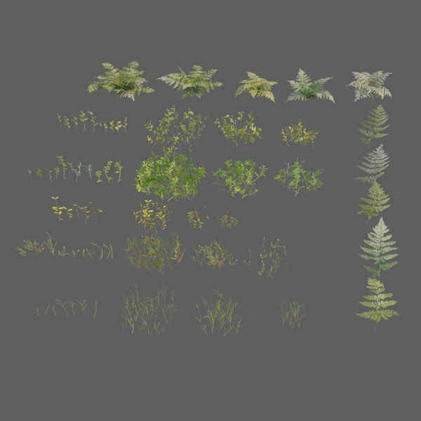 nordic forest plants A collection