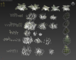 nordic forest plants A collection