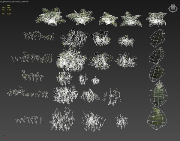 nordic forest plants A collection