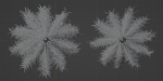 Norfolk Island pine vol 36-Blender