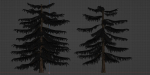Norfolk Island pine vol 36-Blender