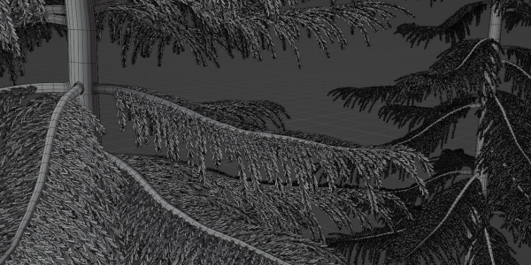 Norfolk Island pine vol 36-Blender