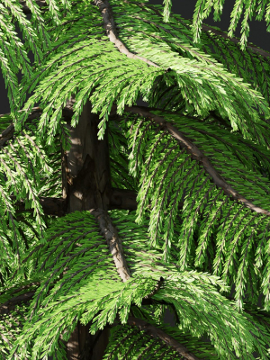 norfolk-island-pine-vol-36-blender-3d-model-ec9d55bc3c