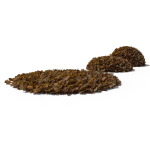 Oak Leaf Pile