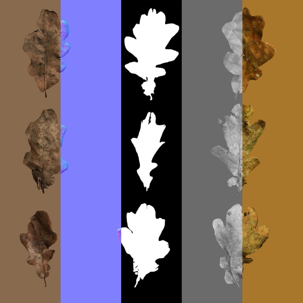 Oak Leaf Pile