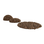 Oak Leaf Pile