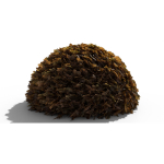 Oak Leaf Pile