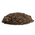 Oak Leaf Pile