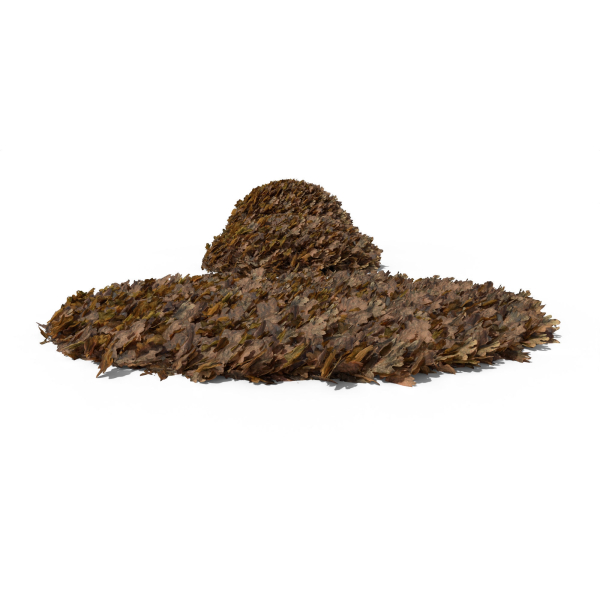 Oak Leaf Pile