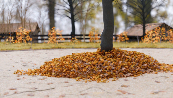 Oak Leaf Pile