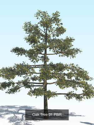 oak-tree-6-in-1-pack-pbr-3d-model-max-obj-fbx
