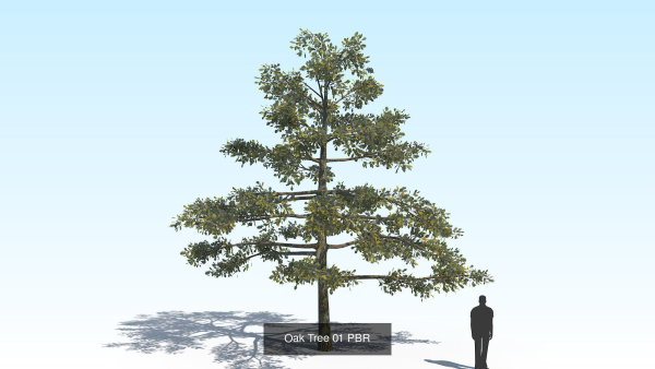Oak Tree 6 in 1 Pack PBR