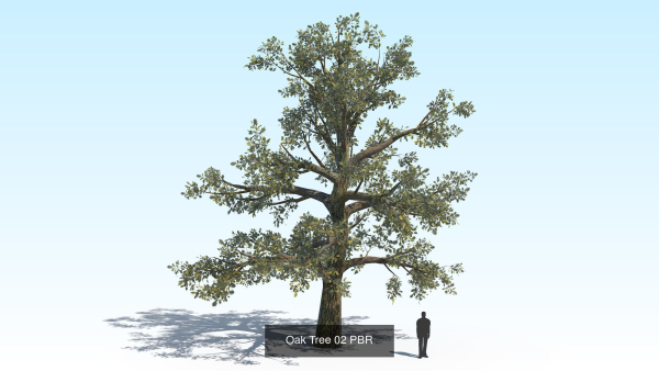 Oak Tree 6 in 1 Pack PBR