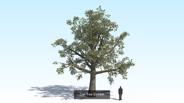 Oak Tree 6 in 1 Pack PBR