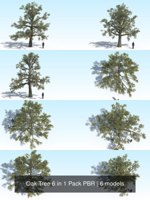 Oak Tree 6 in 1 Pack PBR