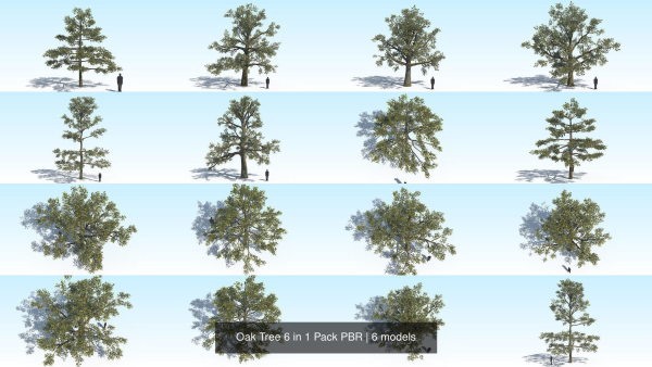 Oak Tree 6 in 1 Pack PBR