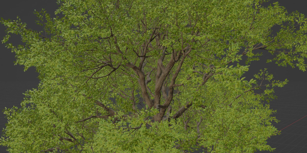 Oak Tree for landscapes vol 198-Blender