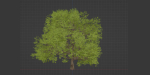 Oak Tree for landscapes vol 198-Blender
