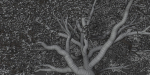 Oak Tree for landscapes vol 198-Blender
