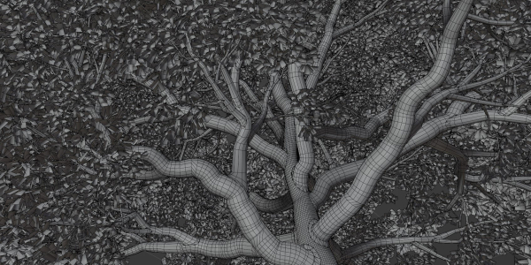 Oak Tree for landscapes vol 198-Blender