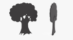 Oak Tree Silhouette