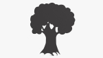 Oak Tree Silhouette