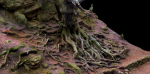 Old beech tree