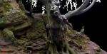 Old beech tree