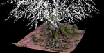 Old beech tree