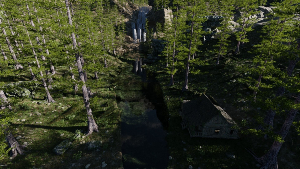Old House in Forest Scene