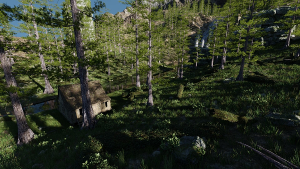 Old House in Forest Scene