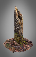Old Putrid Stub in Swamp Photoscanned