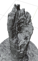 Old Putrid Stub in Swamp Photoscanned