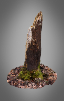 Old Putrid Stub in Swamp Photoscanned