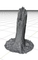 Old Putrid Stub in Swamp Photoscanned