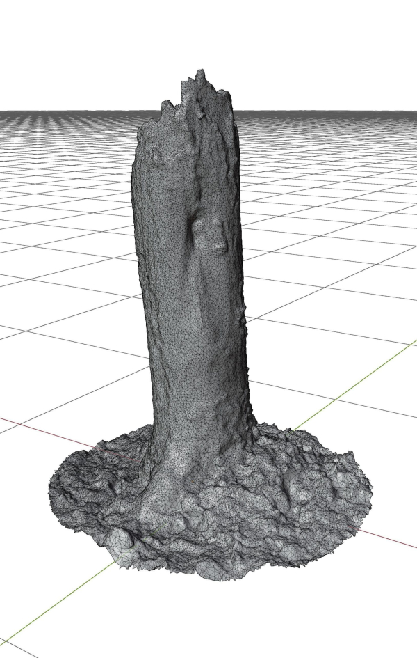 Old Putrid Stub in Swamp Photoscanned