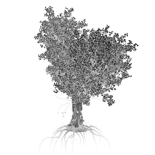 Old tree