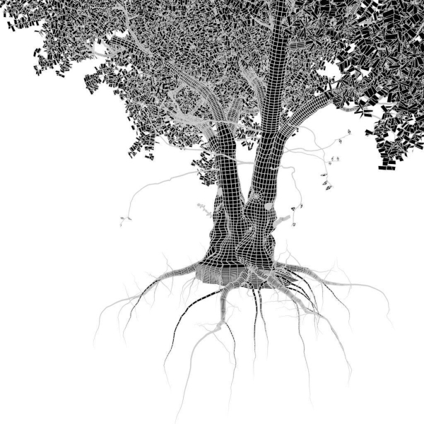 Old tree