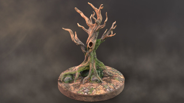 Old Tree
