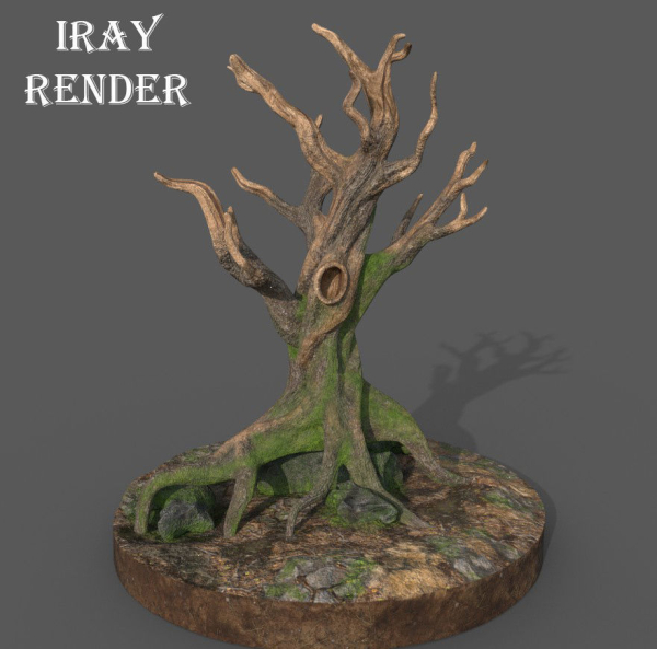 Old Tree