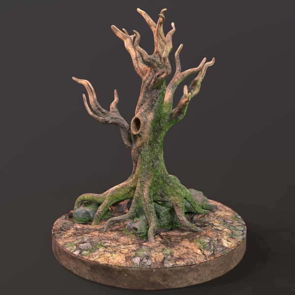 Old Tree