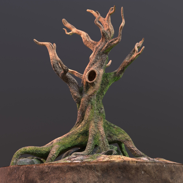 Old Tree