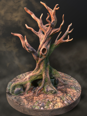 Old Tree