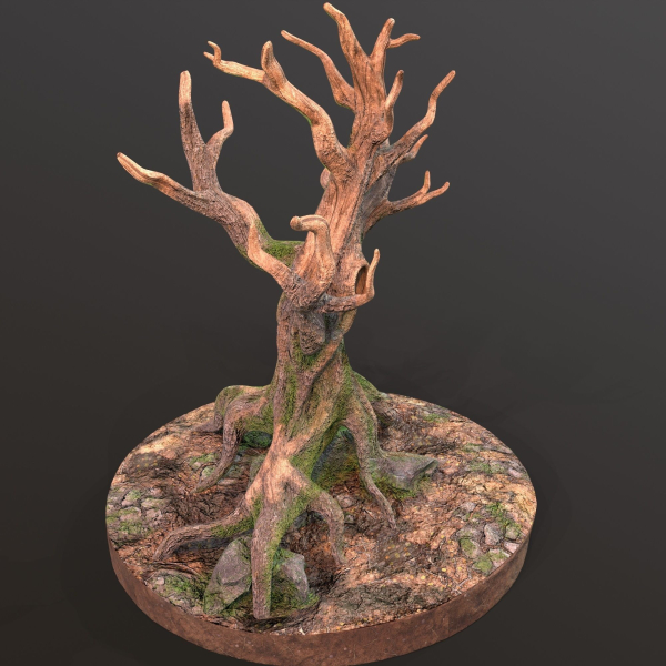 Old Tree