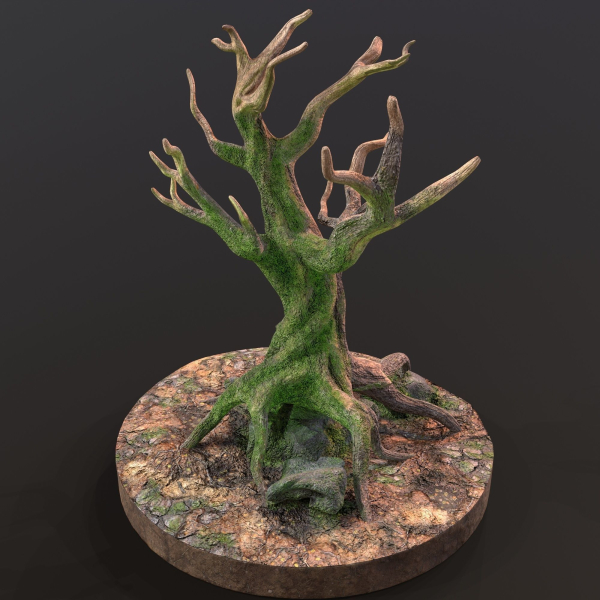 Old Tree