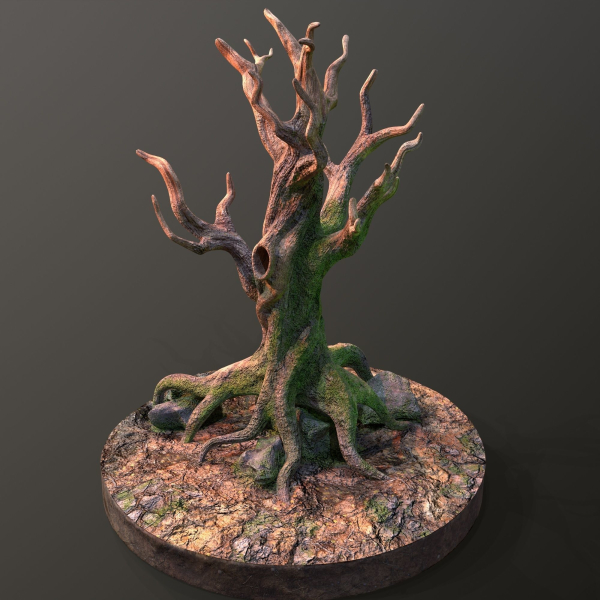Old Tree