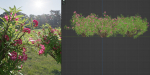Oleander collection vol 166-Blender