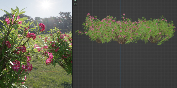 Oleander collection vol 166-Blender