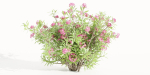 Oleander collection vol 166-Blender