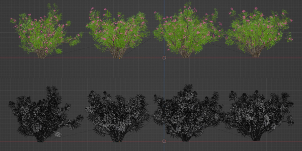 Oleander flowering bush collection vol 208